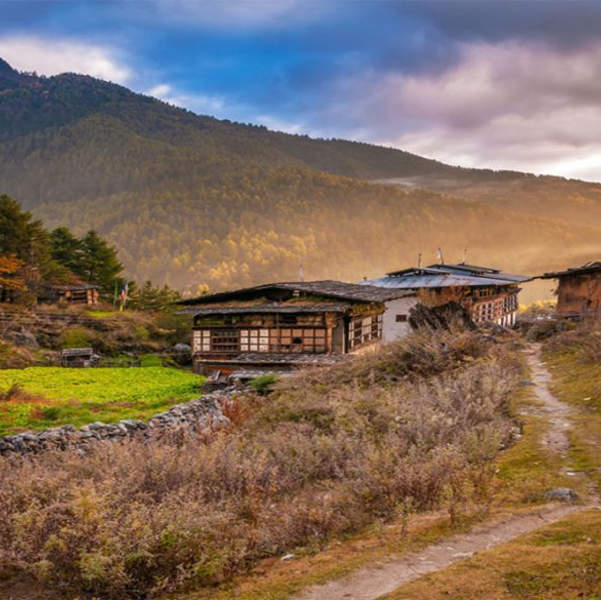 Phobjikha Winter Trekking